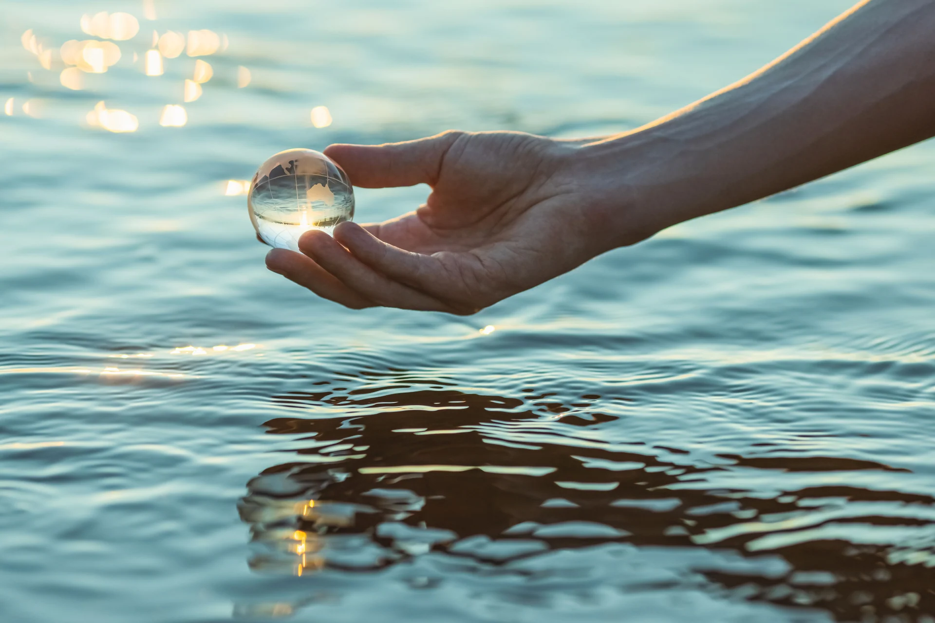 ecosystem balance