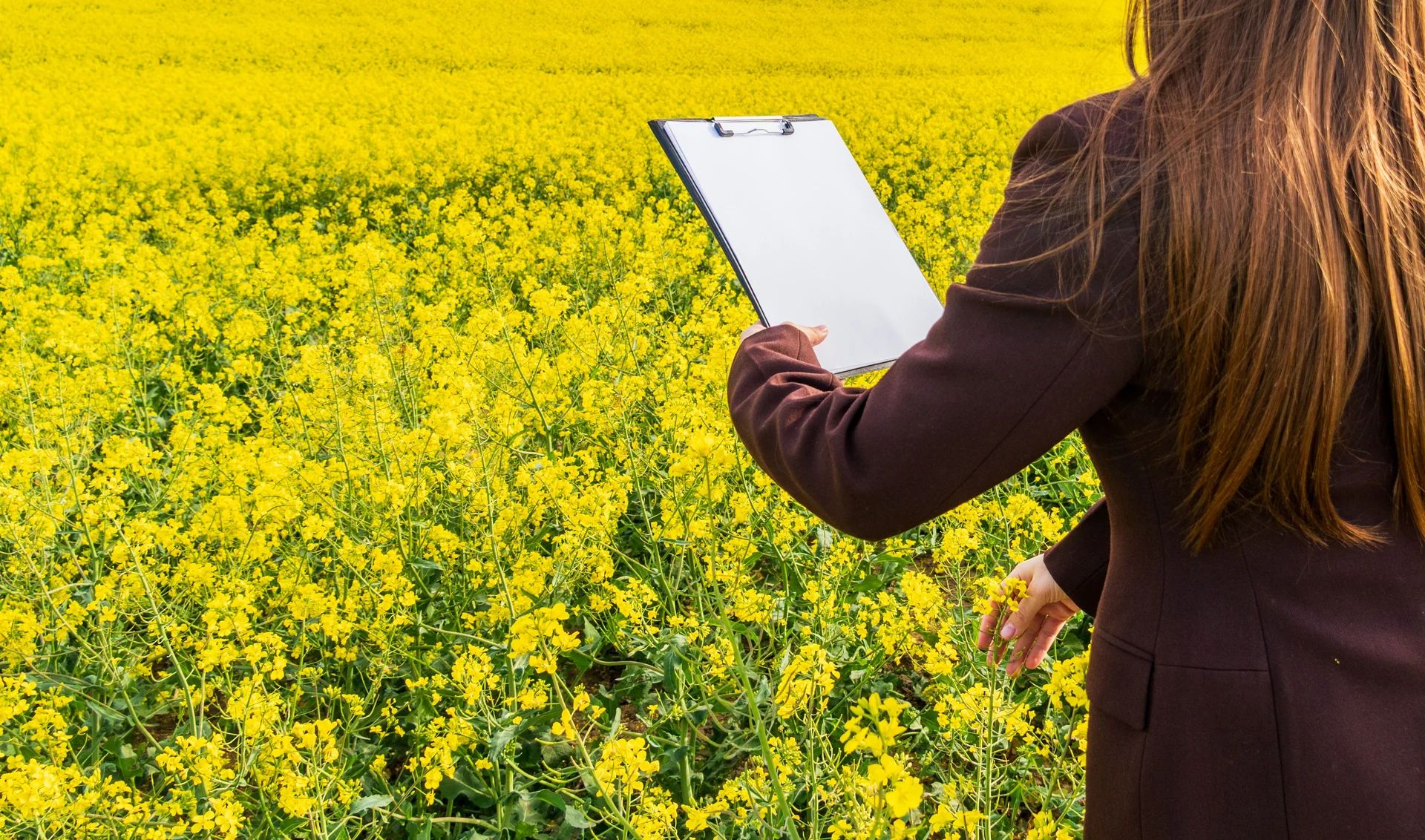field survey