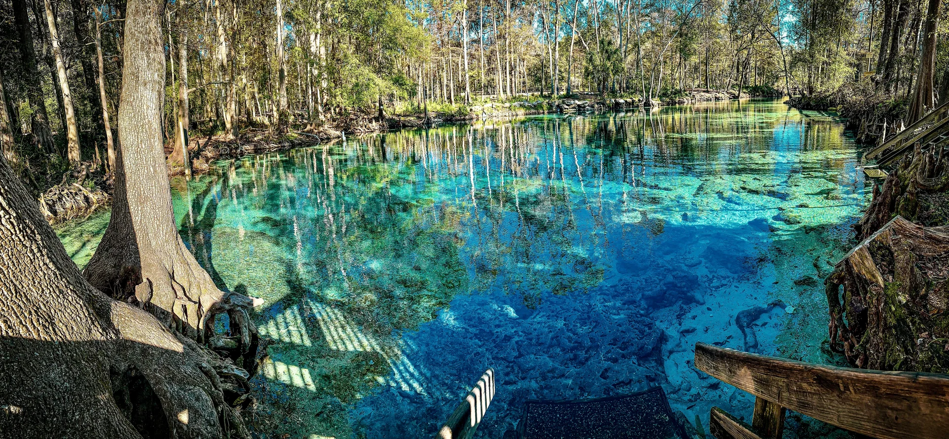 spring florida