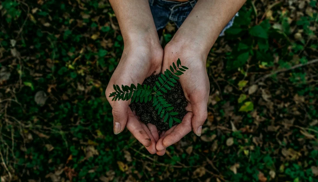 environmental conservation