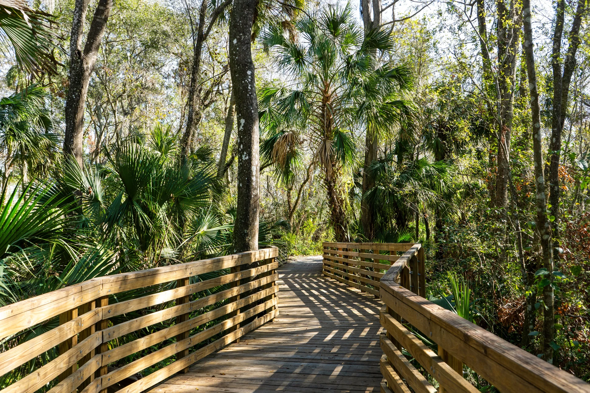 florida nature