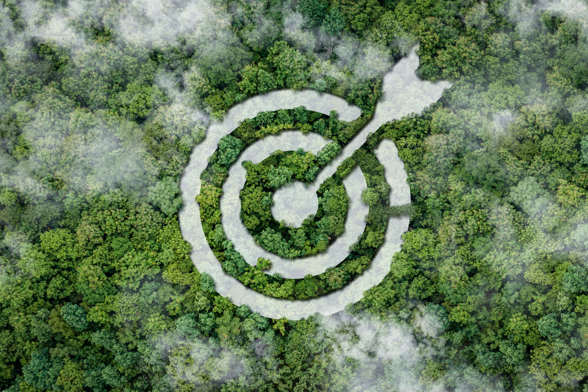 sustainable project