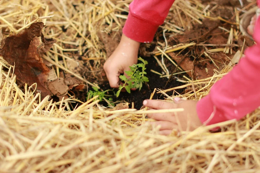 sustainable-practices
