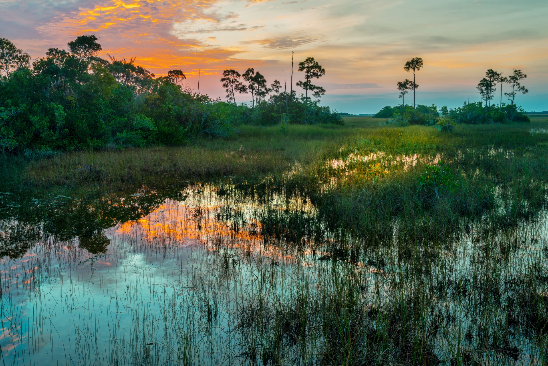 everglades national park