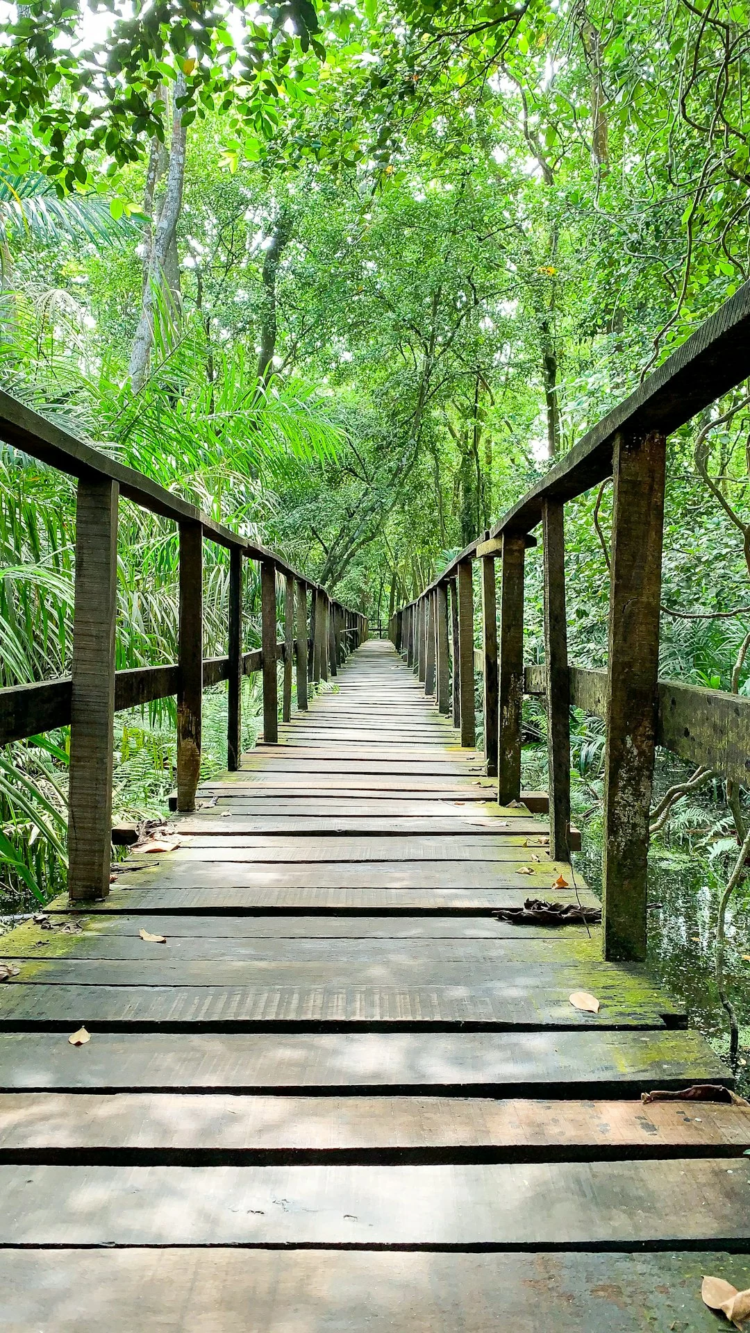 environmental conservation