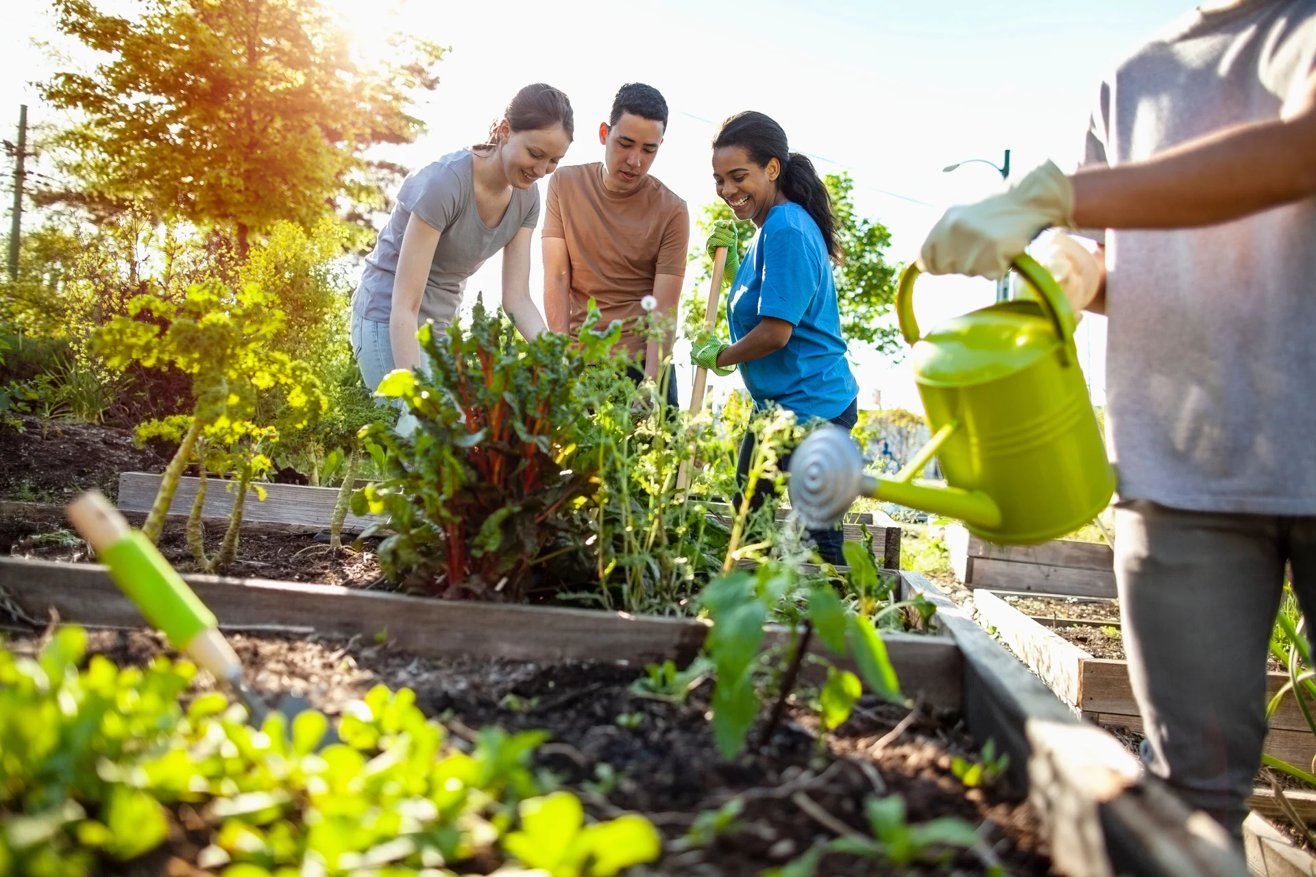 planting volunteers