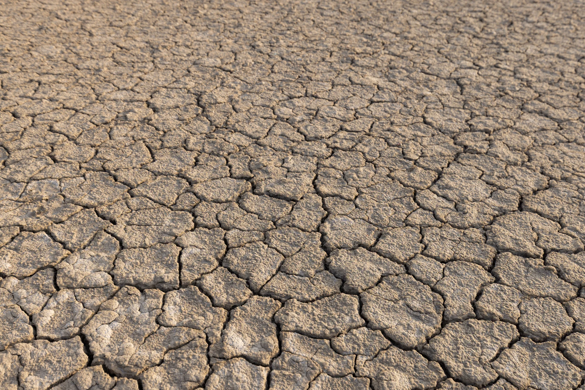 climate change effects