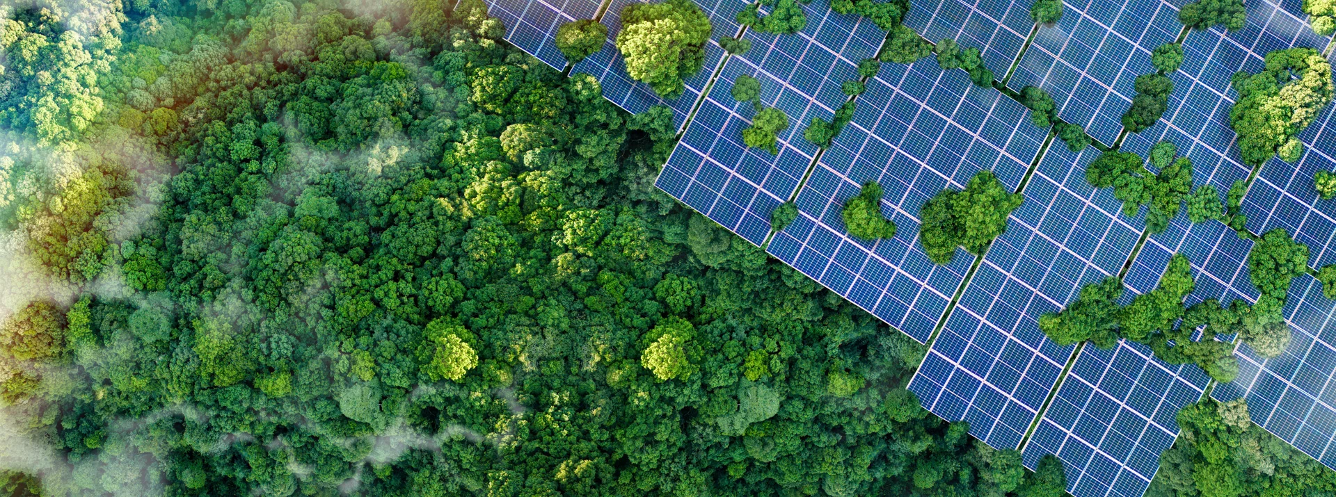 renewable energy