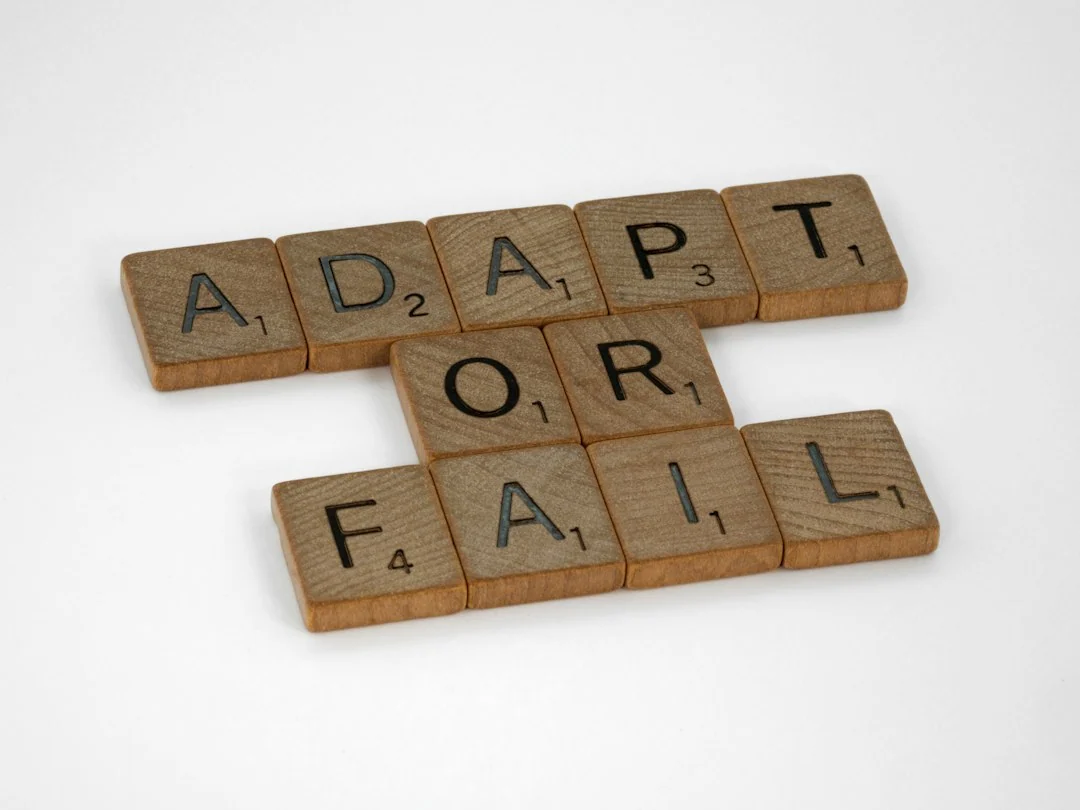 adaptation strategies