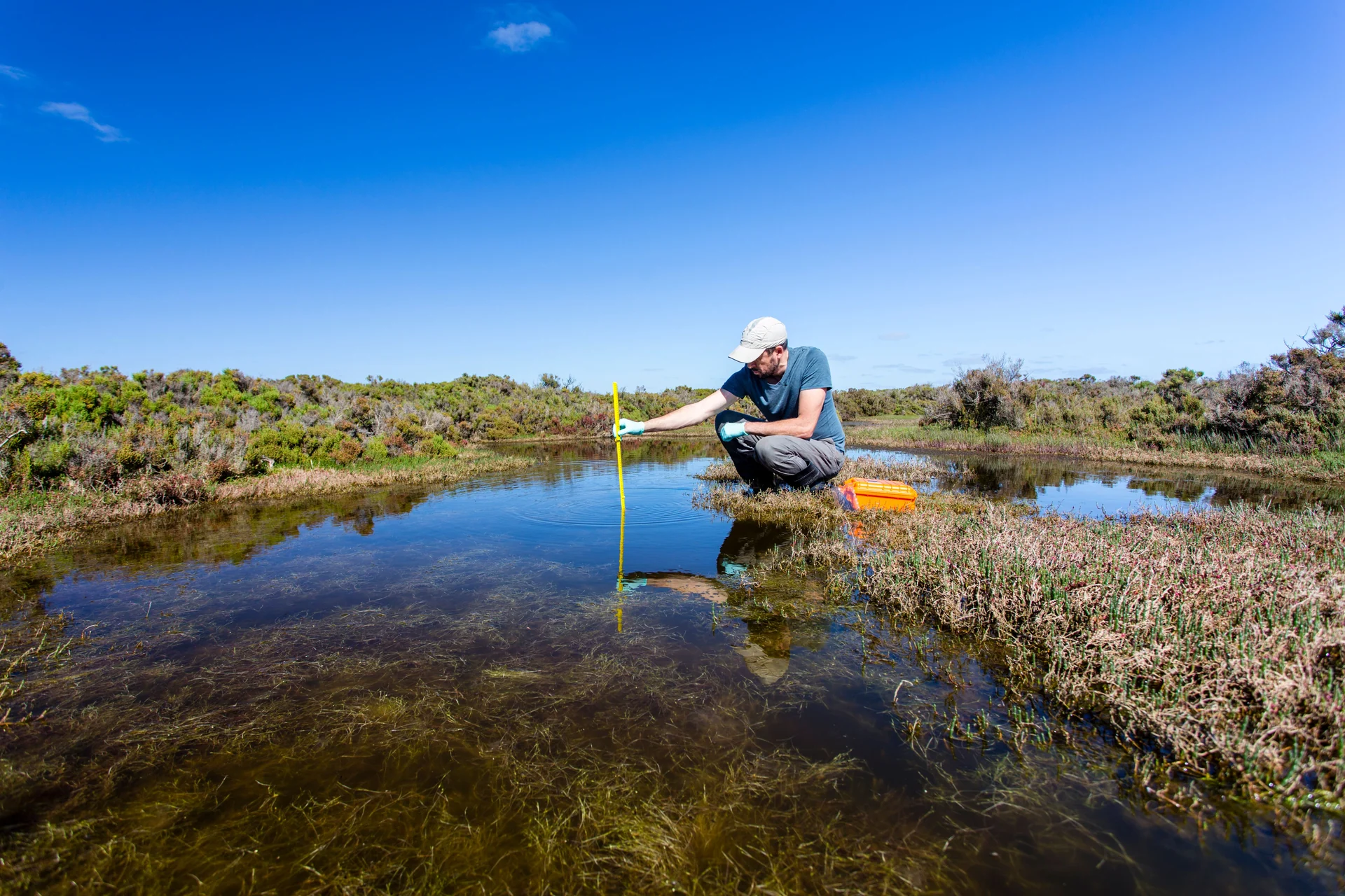 ecologists fieldwork