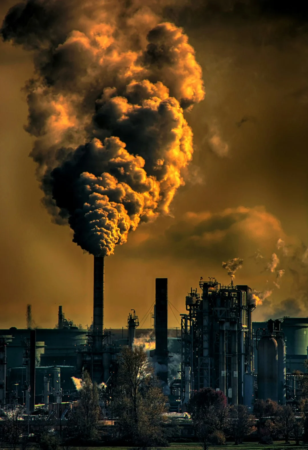 environmental assessment