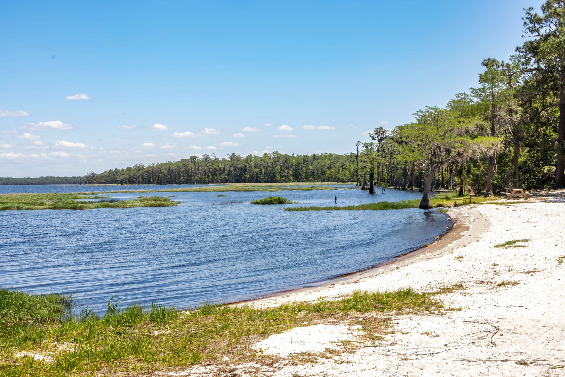 florida ecosystem