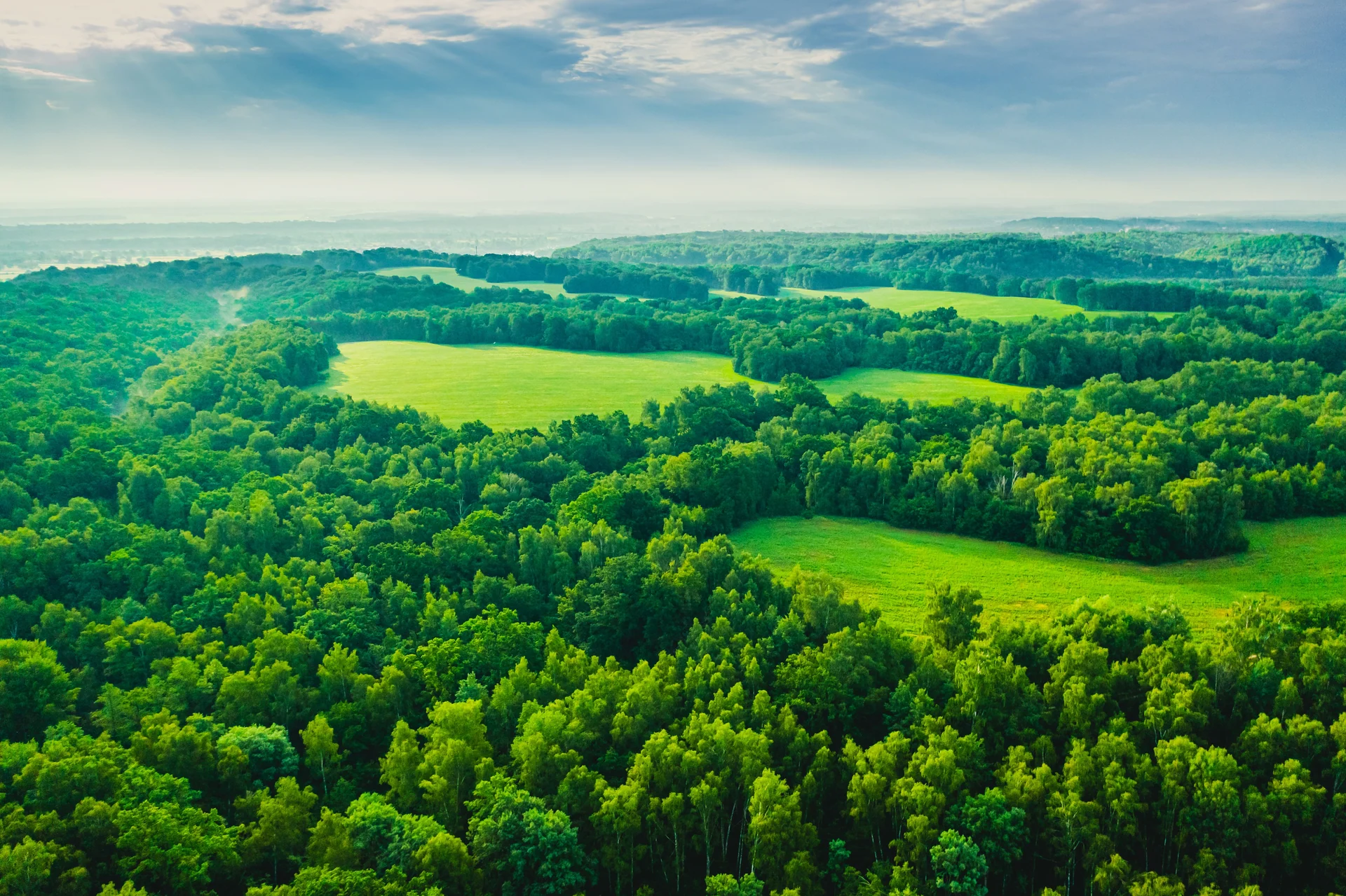 biodiversity conservation