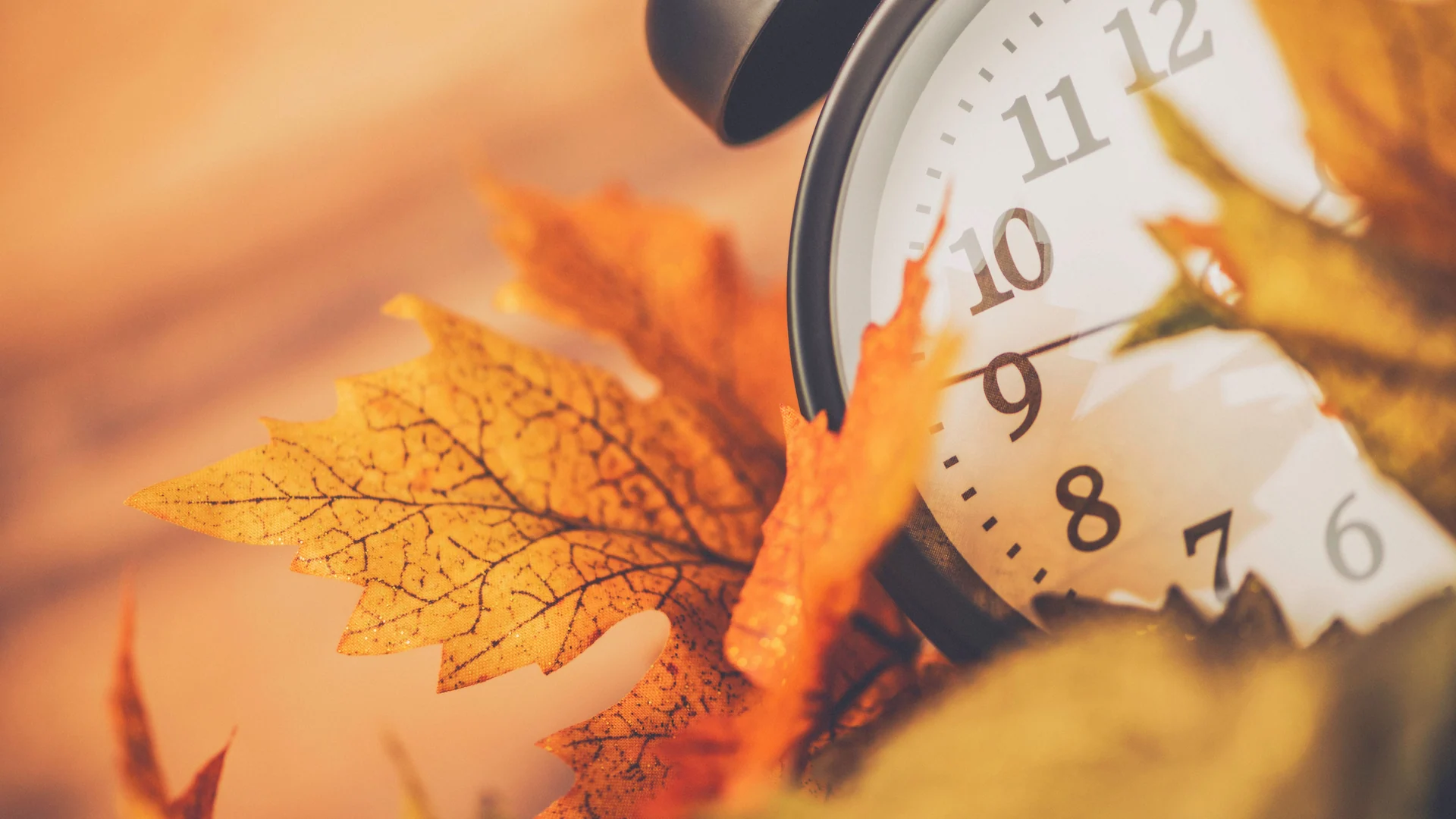 seasonal changes