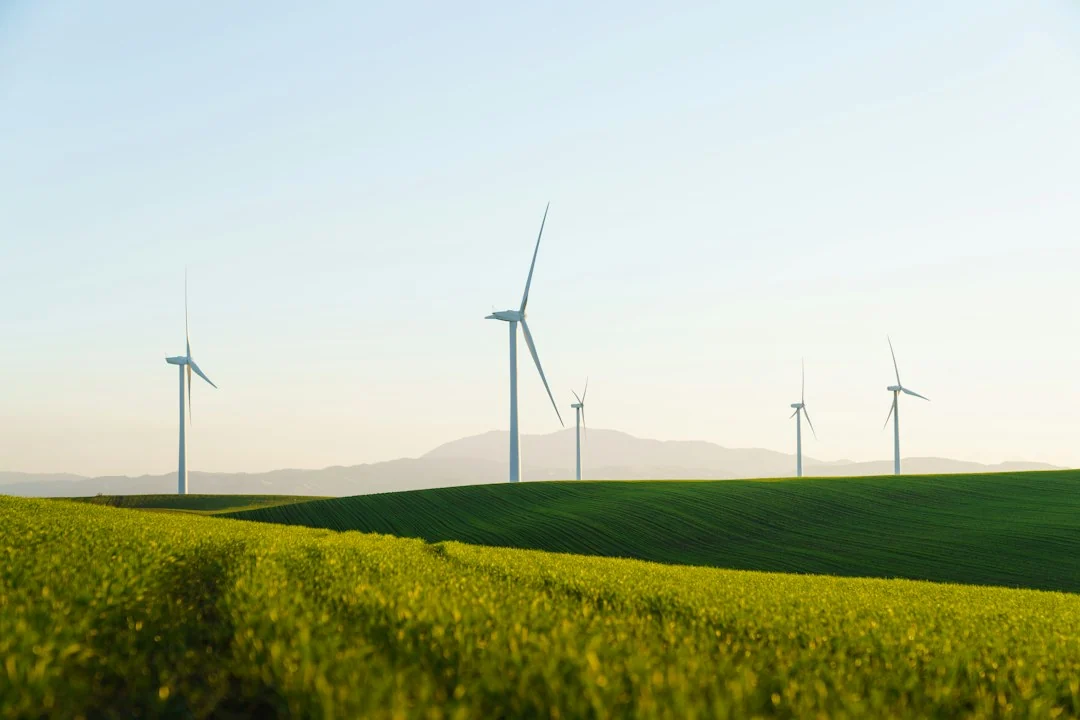 environmental consultant