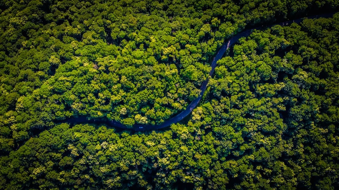 ecological modeling