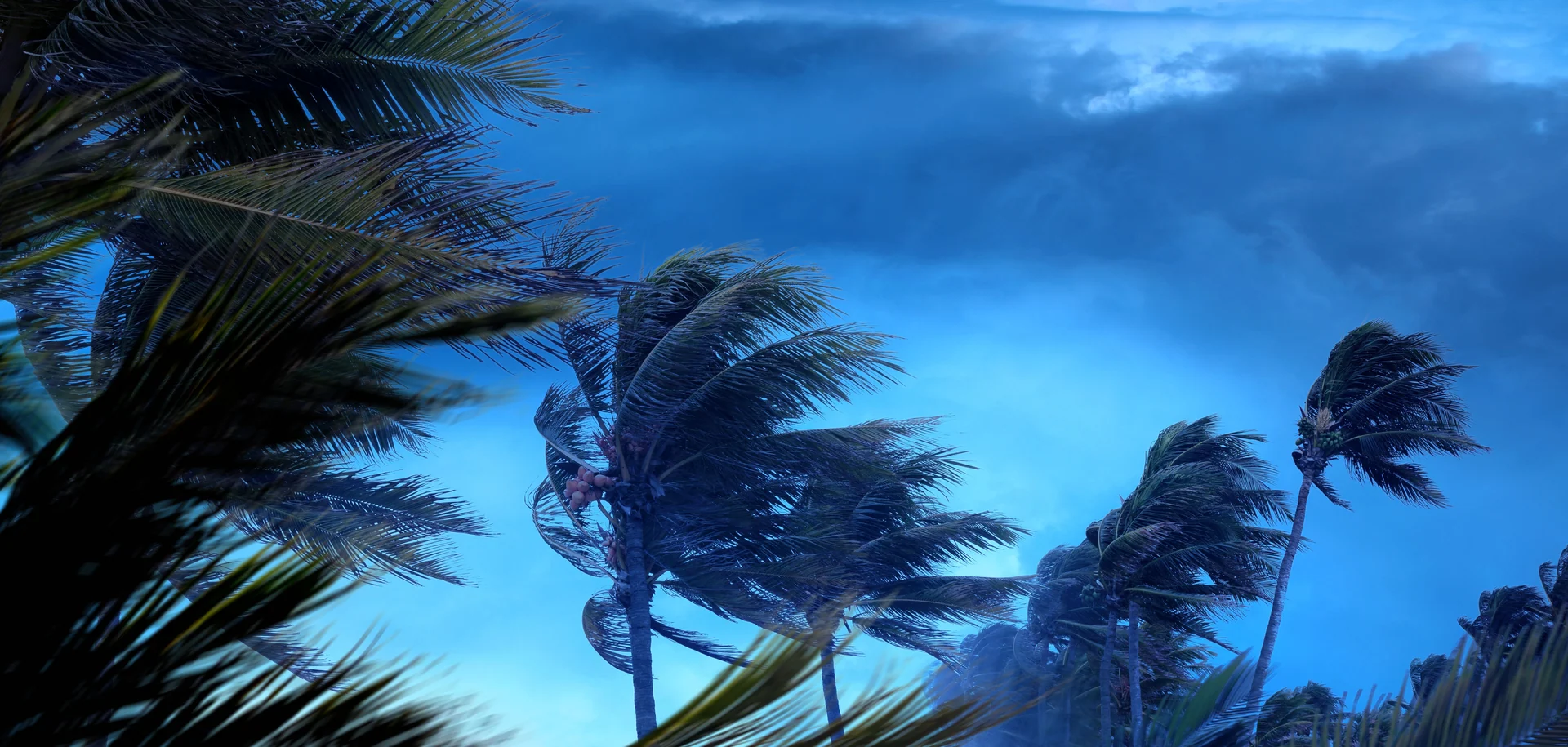 hurricane season