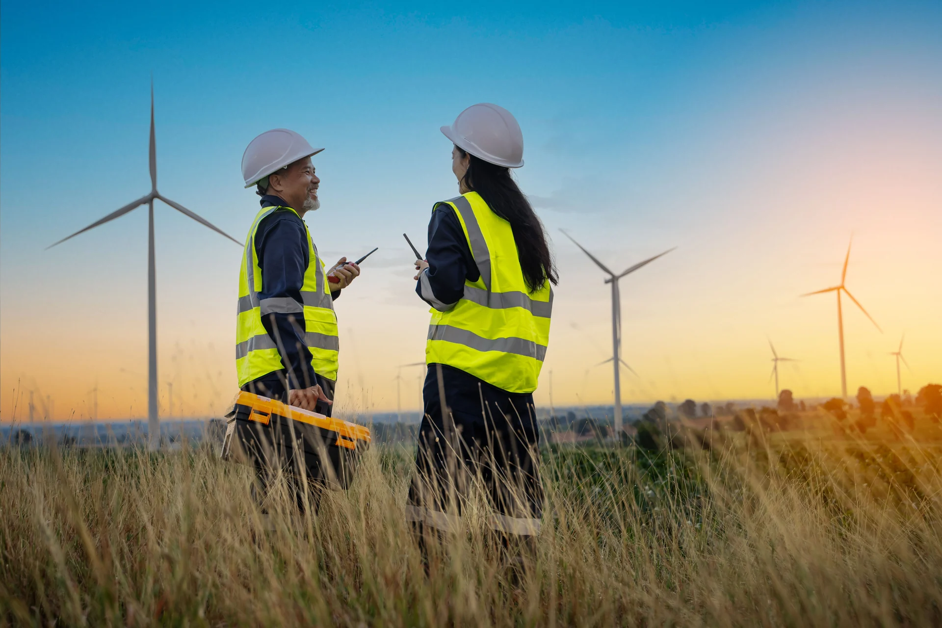ecological consulting