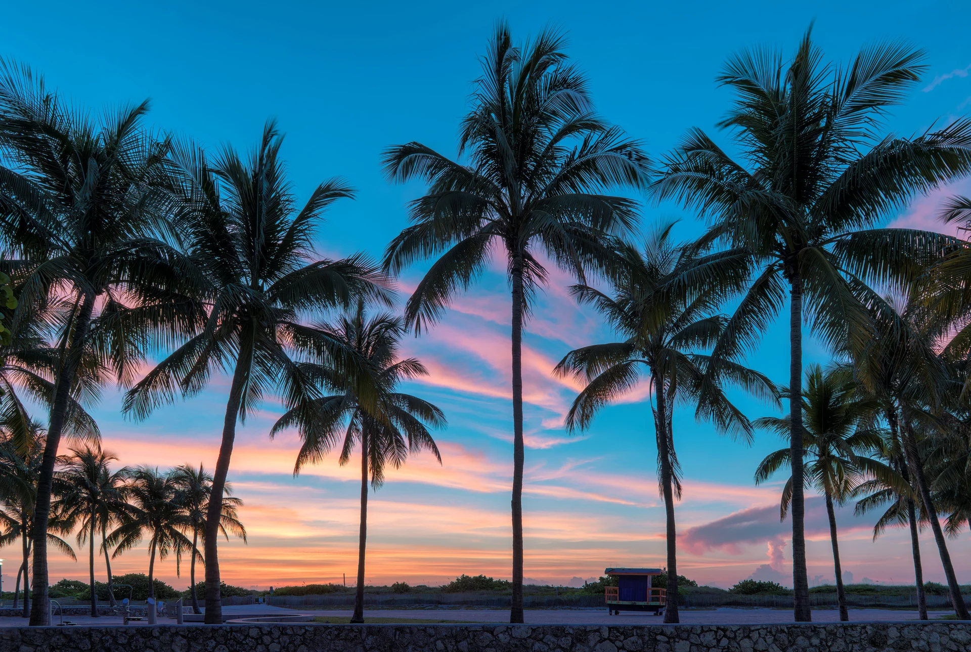 summer florida