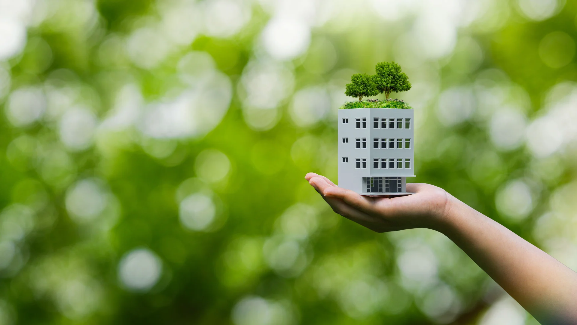 sustainable architecture