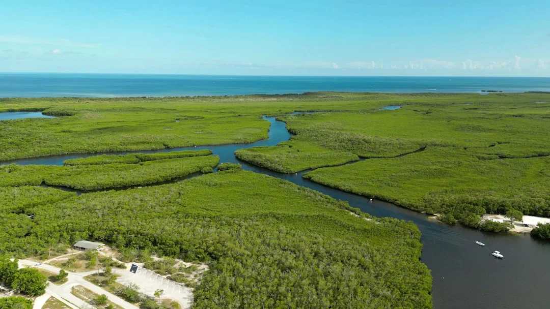 florida ecosystem