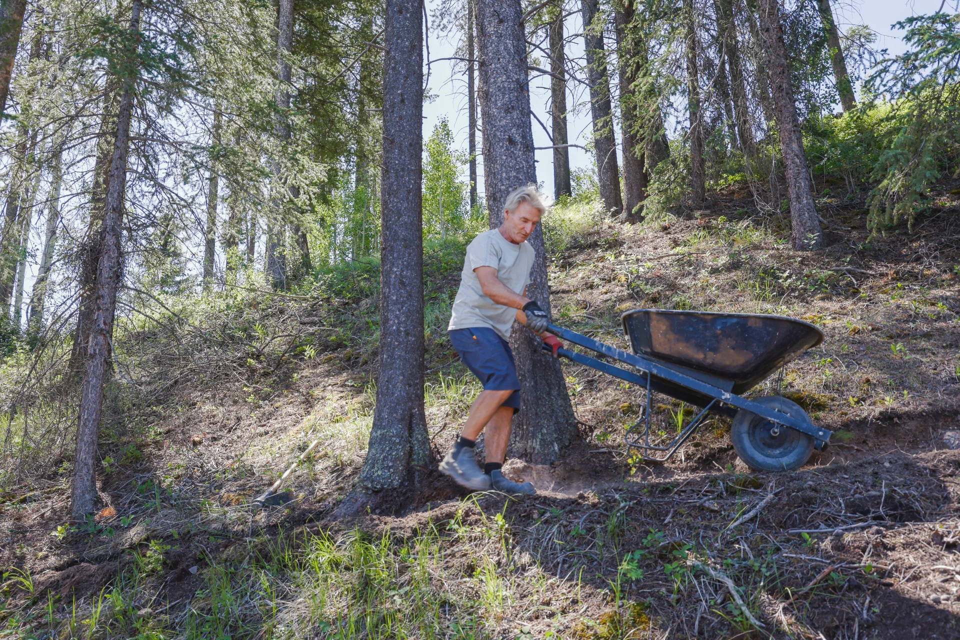 environmental tools