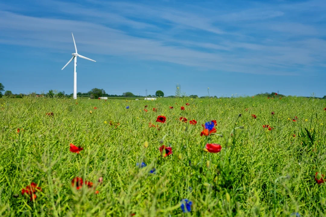sustainability technology