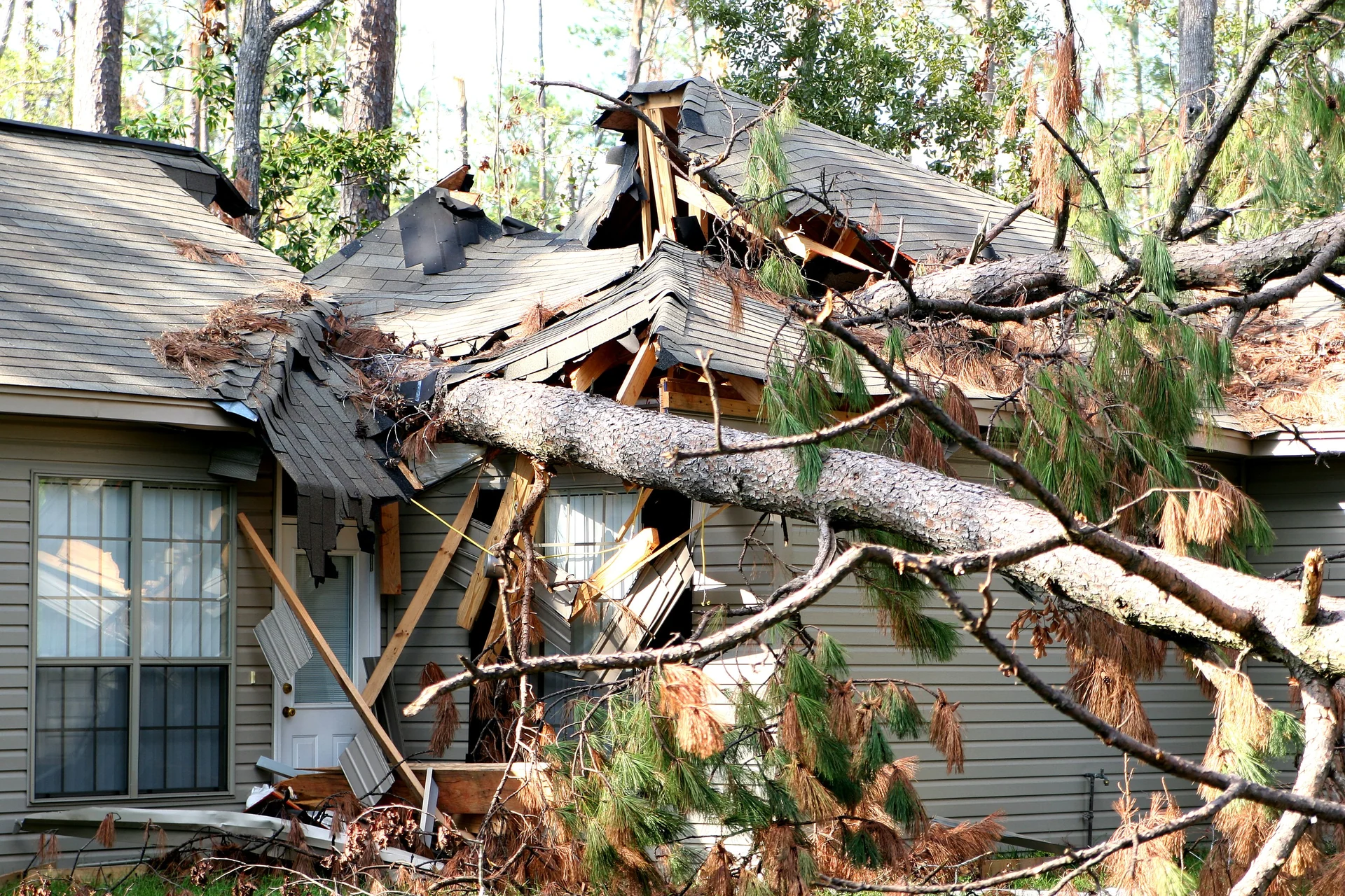 storm debris
