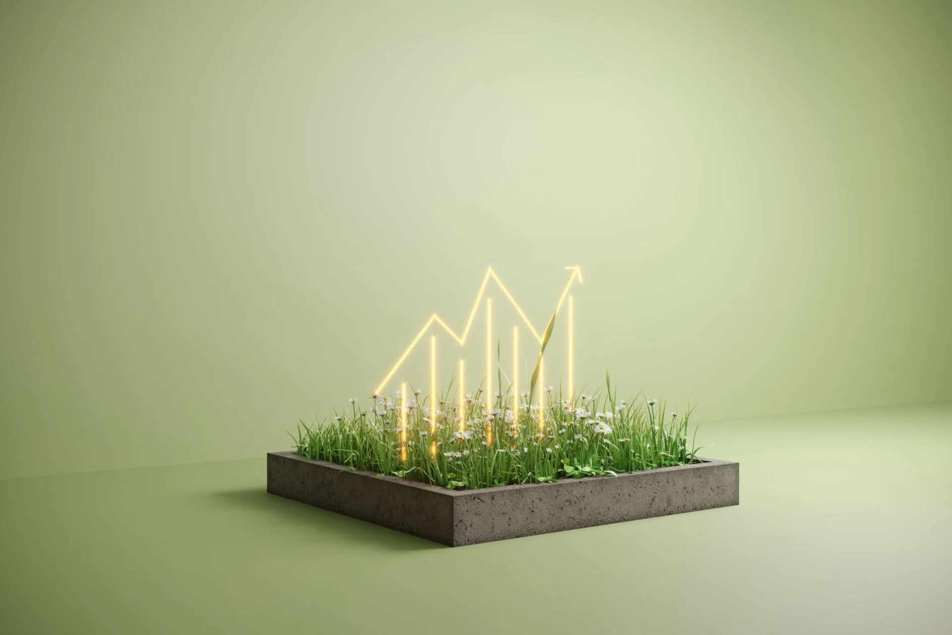 sustainable development
