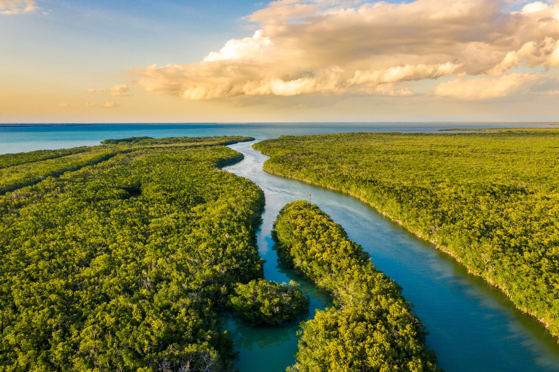 florida nature