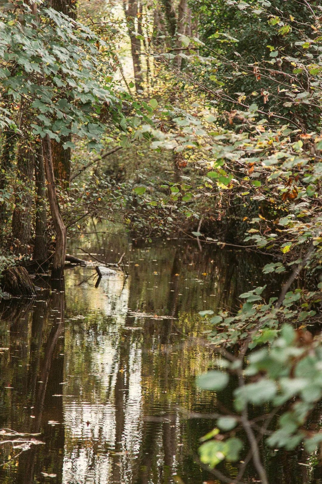 nature conservation