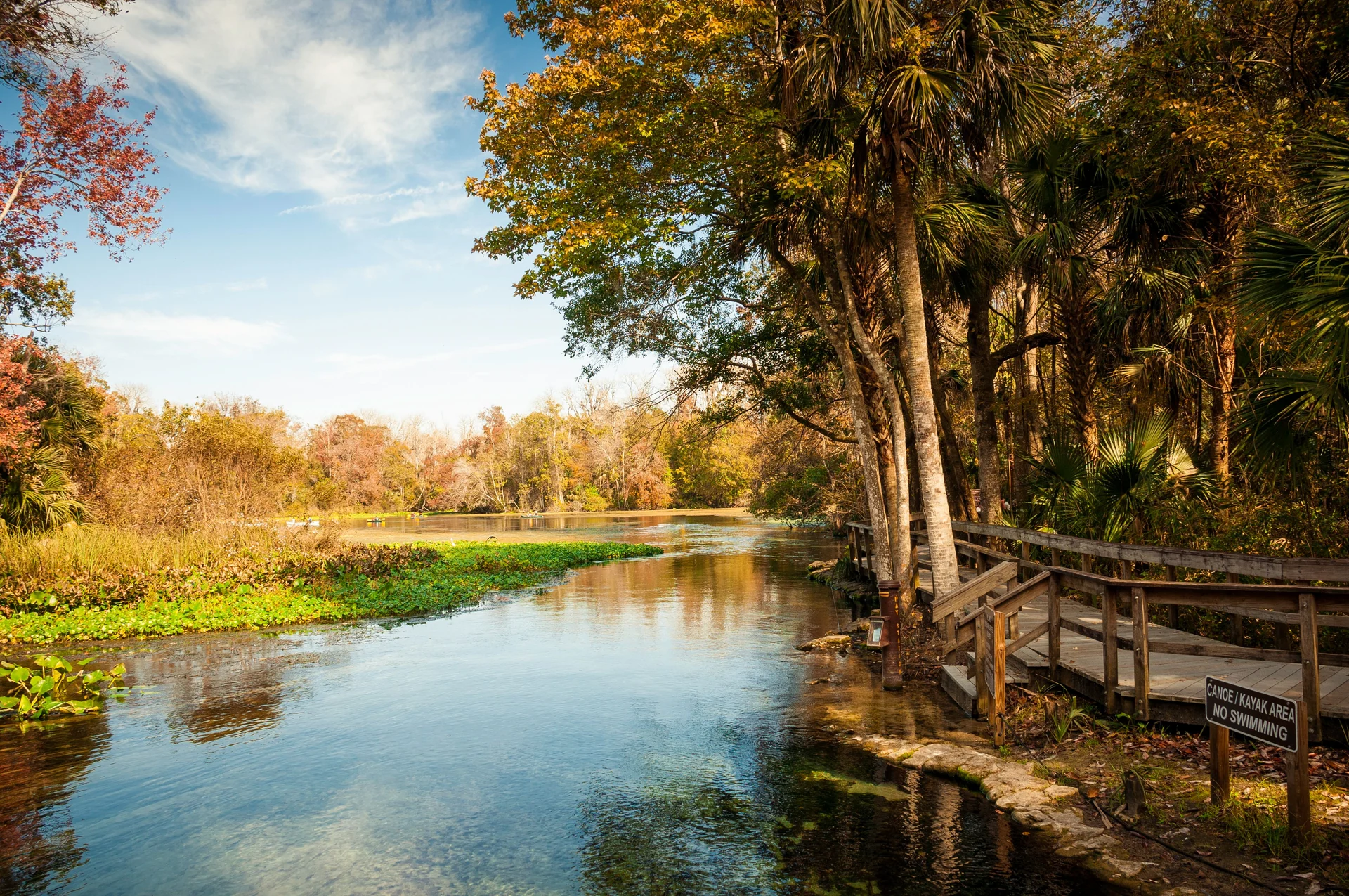 fall florida