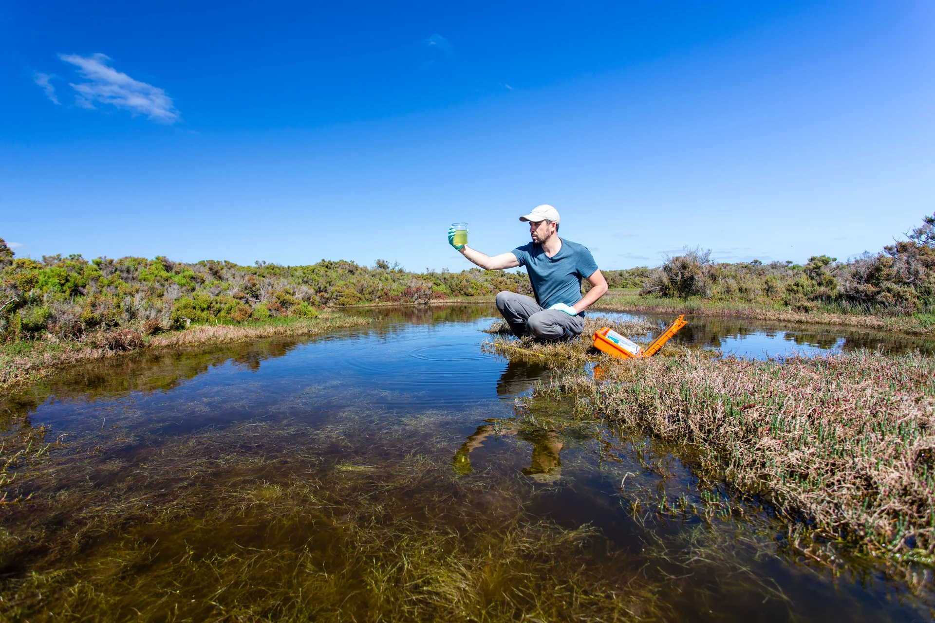 ecosystem monitoring