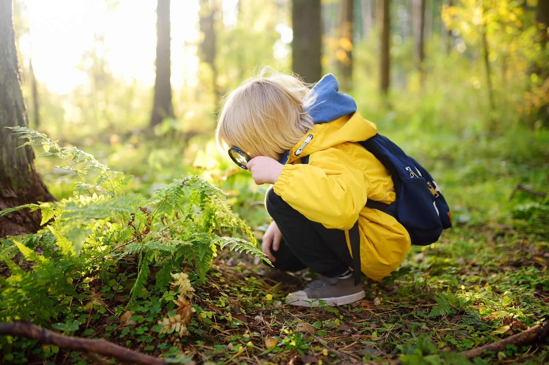 ecological monitoring