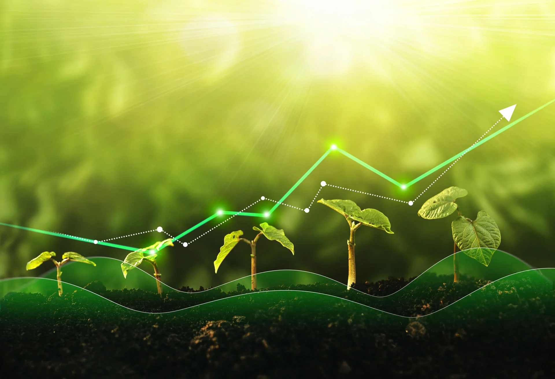 environmental challenges